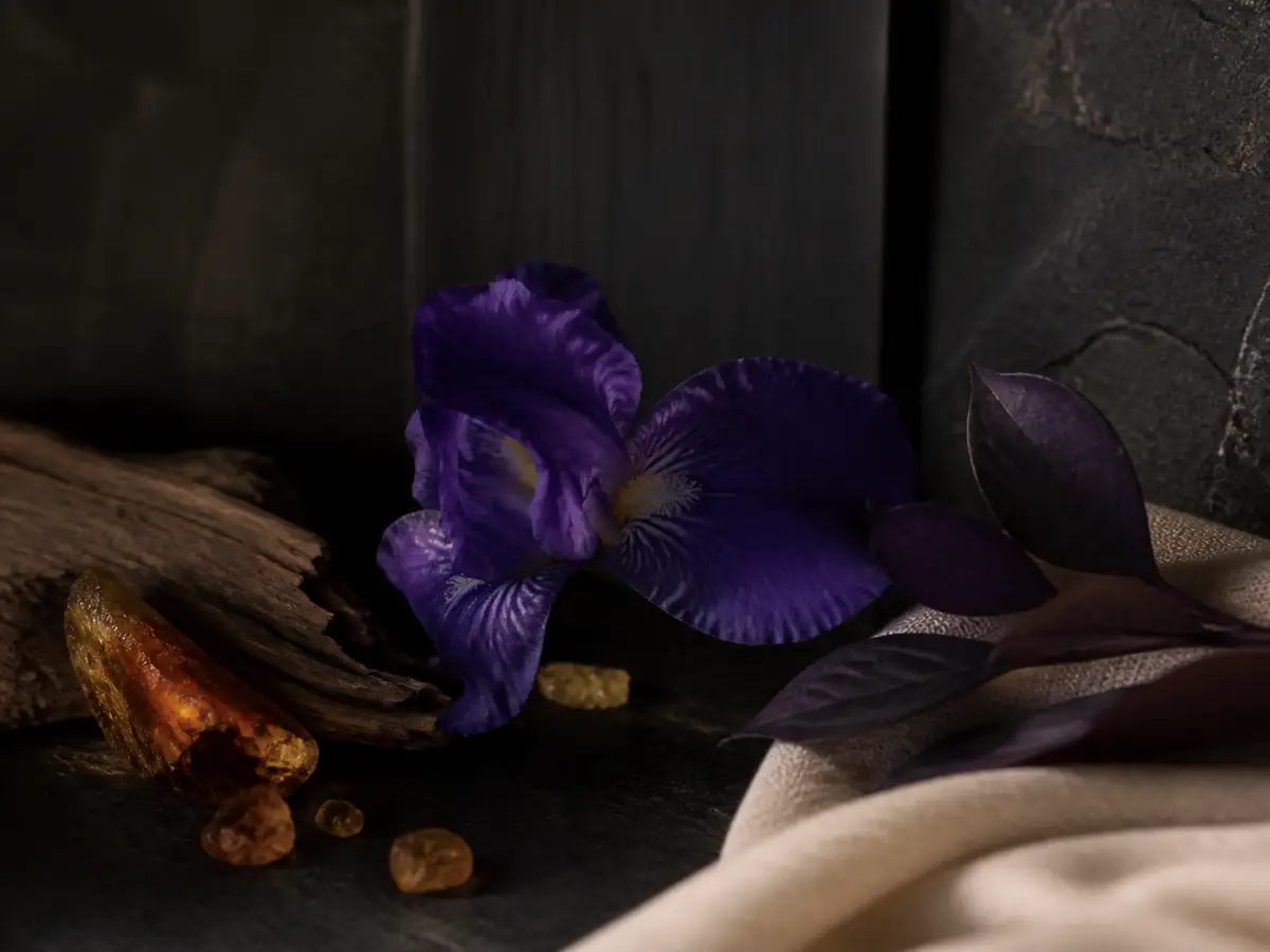Black iris